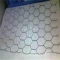 double twisted hexagonal wire mesh